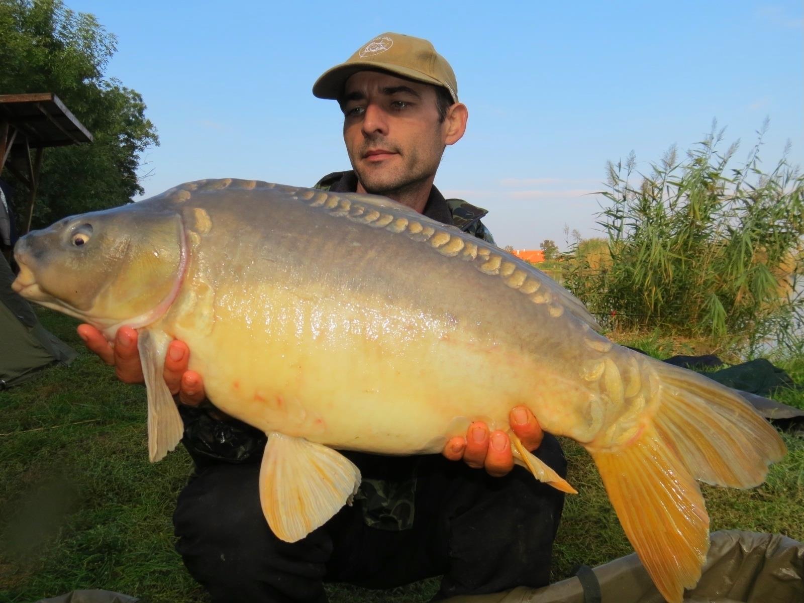 The best pictures of 2013 - 8580-kg-20130928---1035-derekegyhaz.JPG